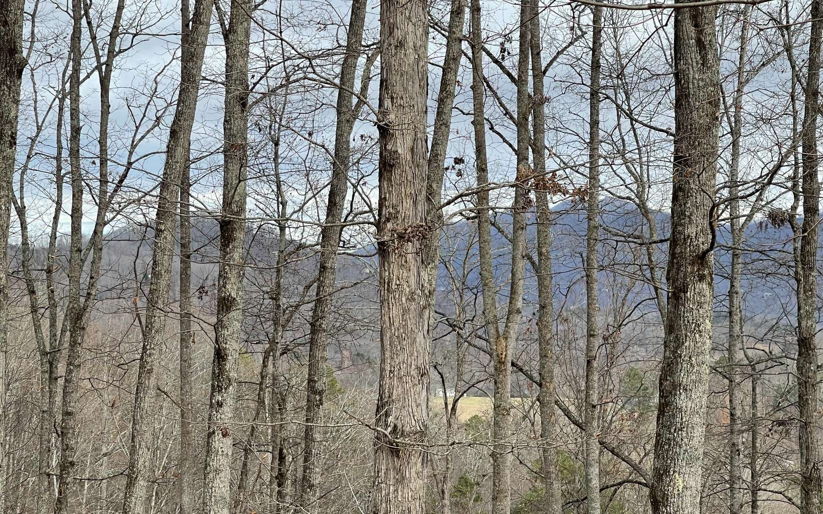 Lot 1C Lakewood Hills, Hayesville NC 28904 - Photo
