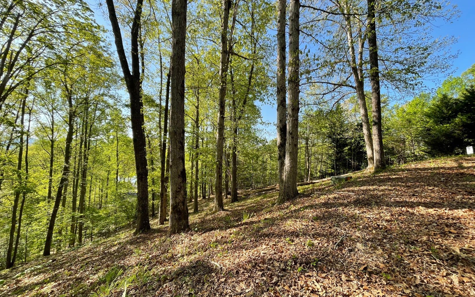 Lot 1C Lakewood Hills, Hayesville NC 28904 - Photo