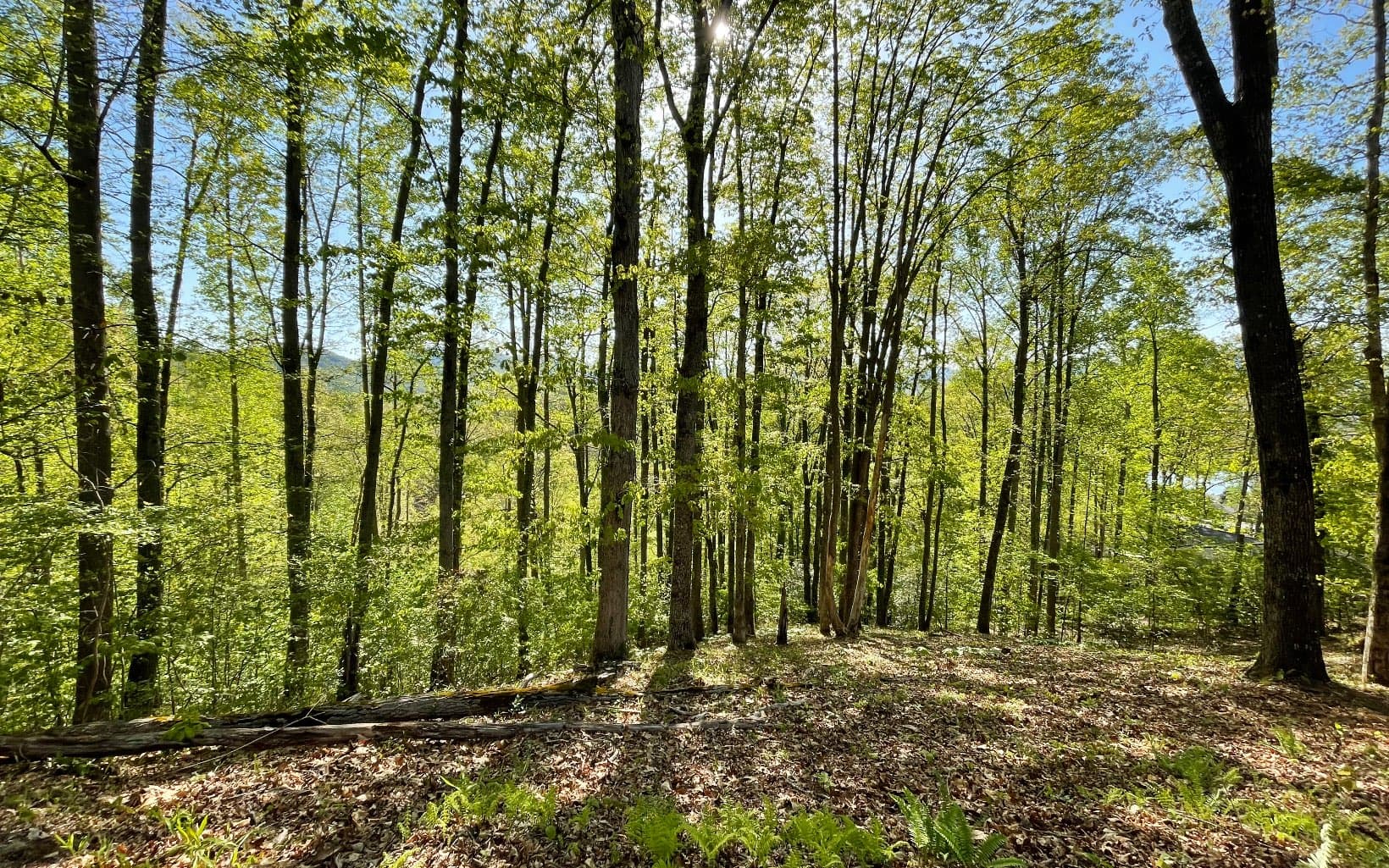 Lot 1C Lakewood Hills, Hayesville NC 28904 - Photo