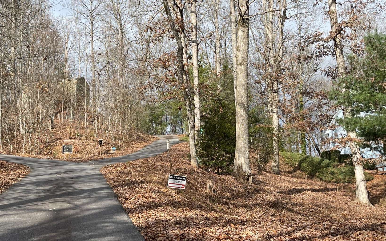Lot 1C Lakewood Hills, Hayesville NC 28904 - Photo