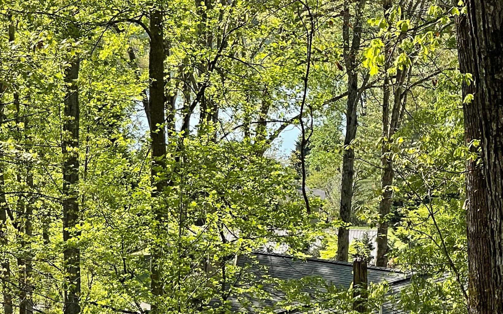 Lot 1C Lakewood Hills, Hayesville NC 28904 - Photo