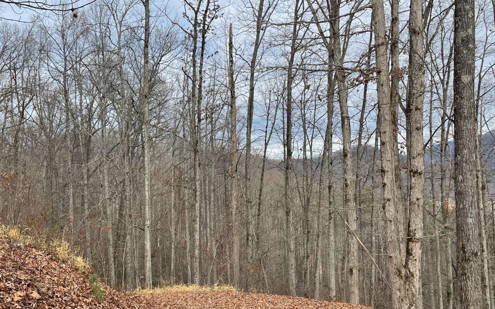 Lot 1C Lakewood Hills, Hayesville NC 28904 - Photo