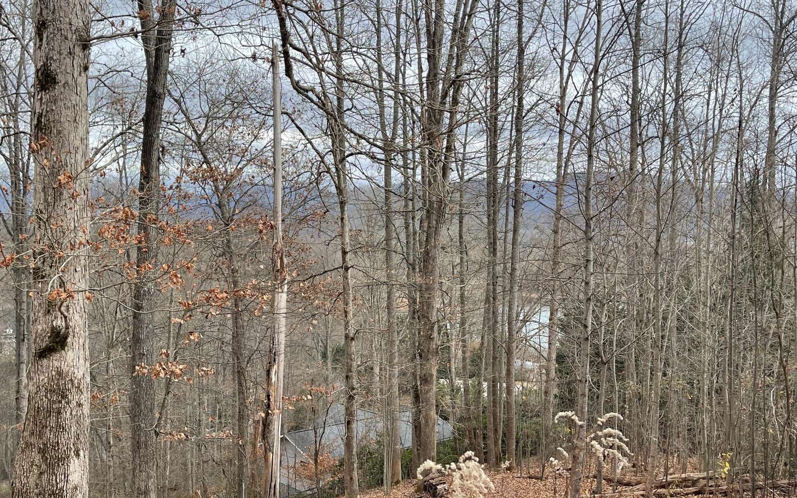Lot 1C Lakewood Hills, Hayesville NC 28904 - Photo