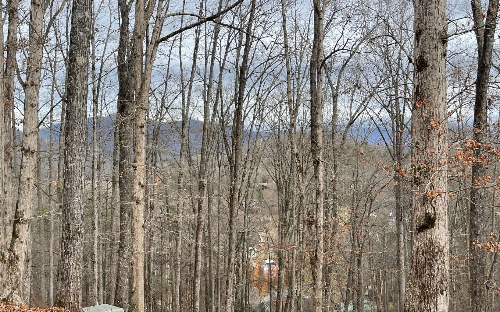 Lot 1C Lakewood Hills, Hayesville NC 28904 - Photo