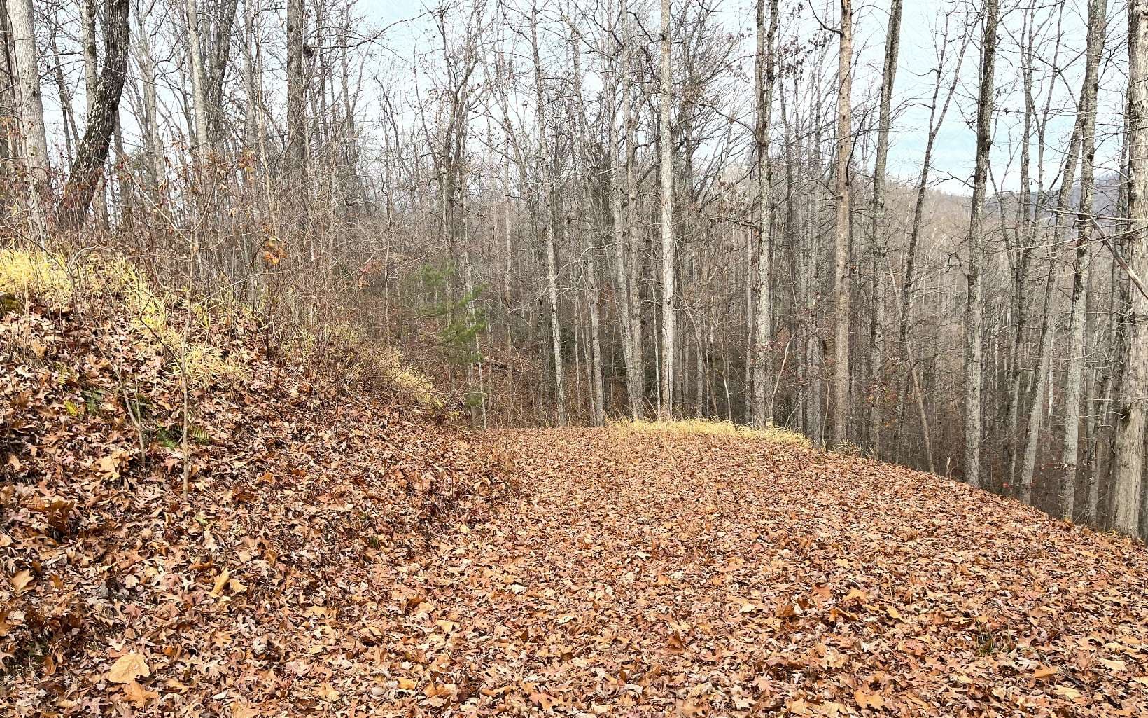 Lot 1C Lakewood Hills, Hayesville NC 28904 - Photo