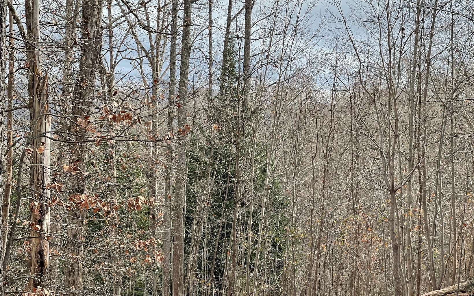 Lot 1C Lakewood Hills, Hayesville NC 28904 - Photo
