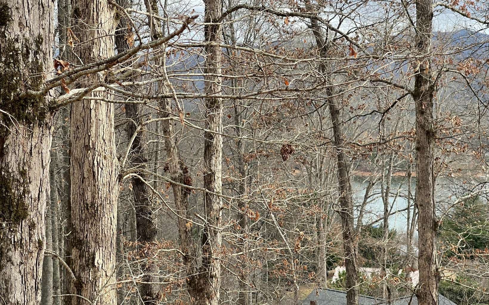 Lot 1C Lakewood Hills, Hayesville NC 28904 - Photo
