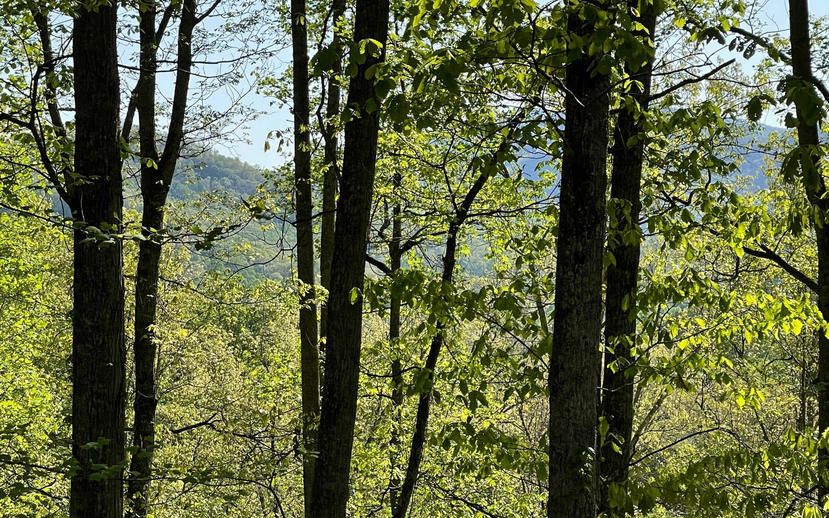 Lot 1C Lakewood Hills, Hayesville NC 28904 - Photo