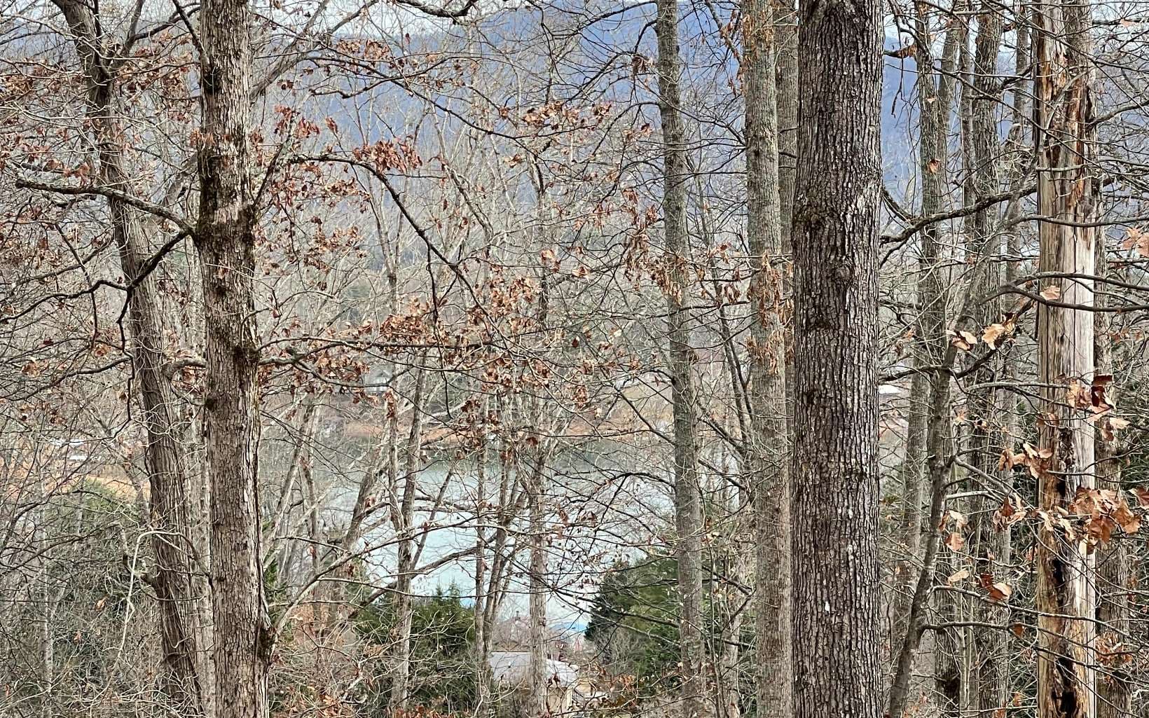 Lot 1C Lakewood Hills, Hayesville NC 28904 - Photo