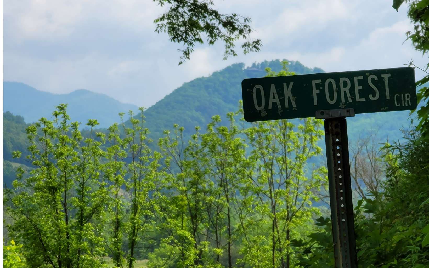 4 Oak Forest Acres, Hayesville NC 28904 - Photo