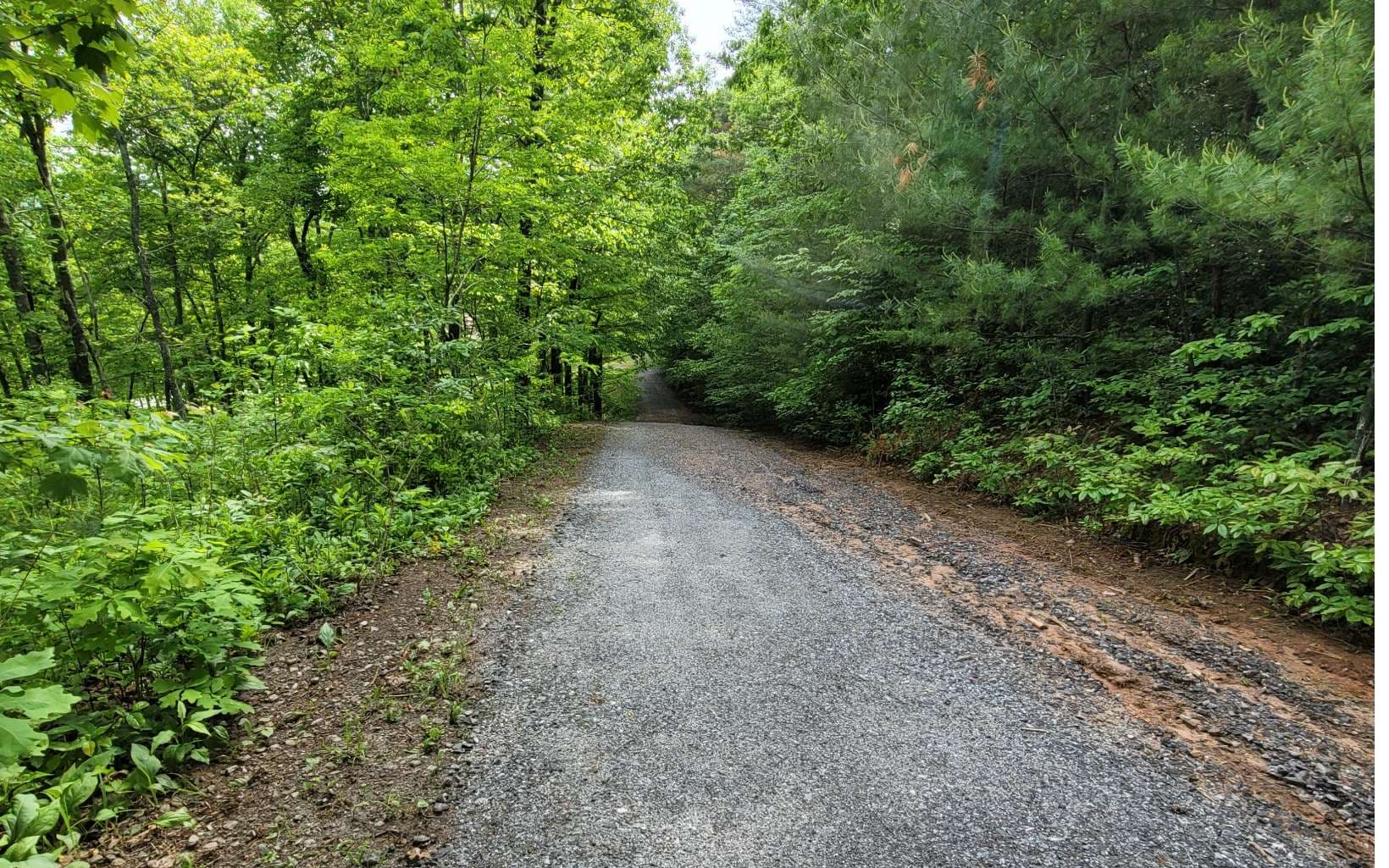 5 Oak Forest Acres, Hayesville NC 28904 - Photo