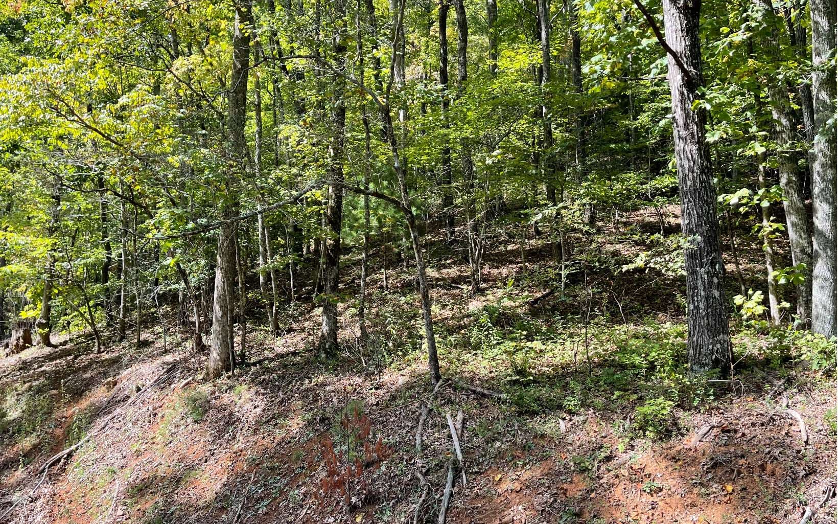 Lot 31 Nelson Ridge, Hayesville NC 28904 - Photo