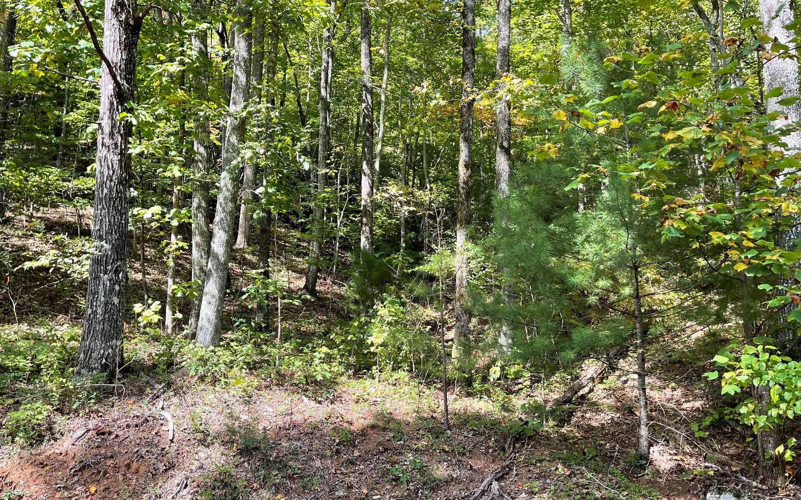Lot 31 Nelson Ridge, Hayesville NC 28904 - Photo