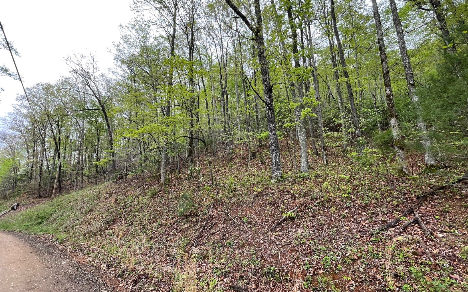 Lot 31 Nelson Ridge, Hayesville NC 28904 - Photo