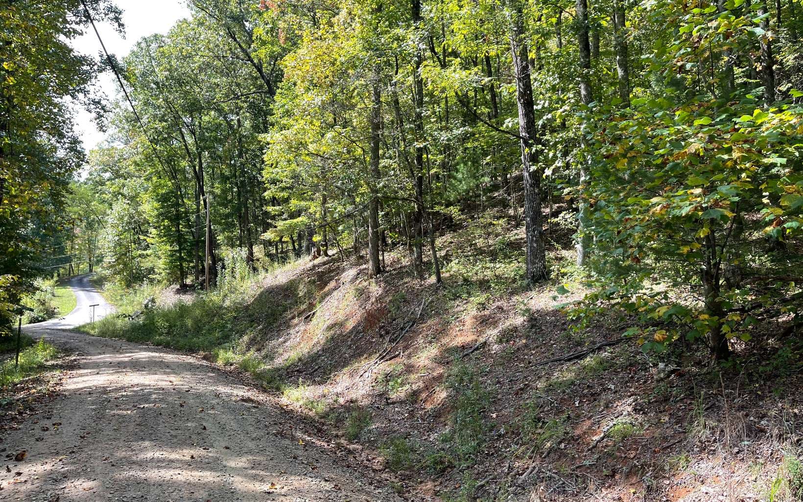 Lot 31 Nelson Ridge, Hayesville NC 28904 - Photo