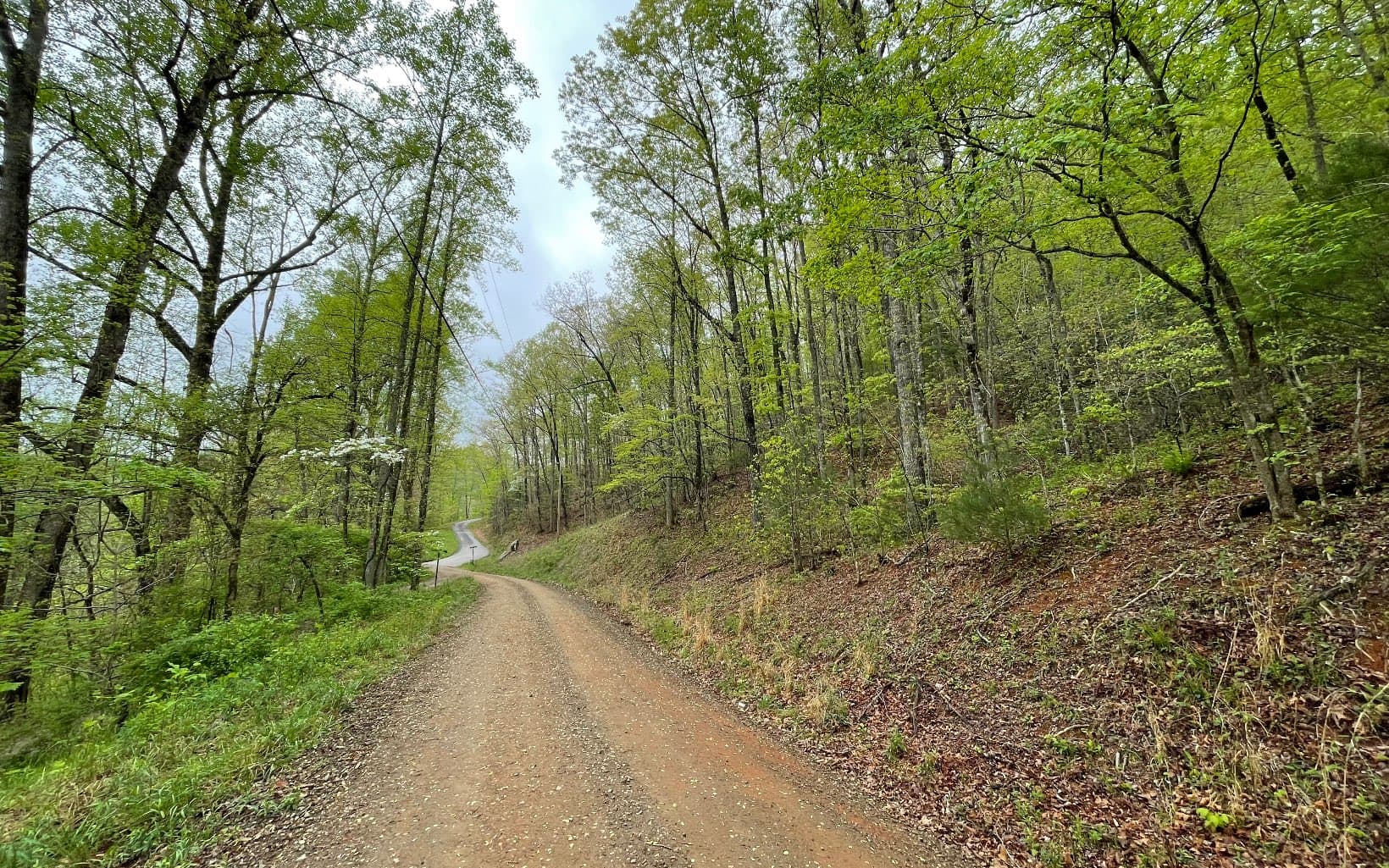 Lot 31 Nelson Ridge, Hayesville NC 28904 - Photo