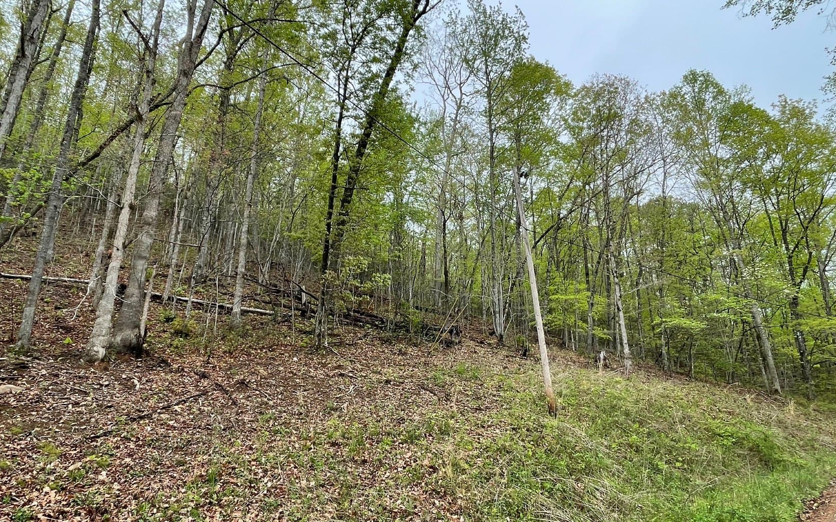 Lot 31 Nelson Ridge, Hayesville NC 28904 - Primary photo