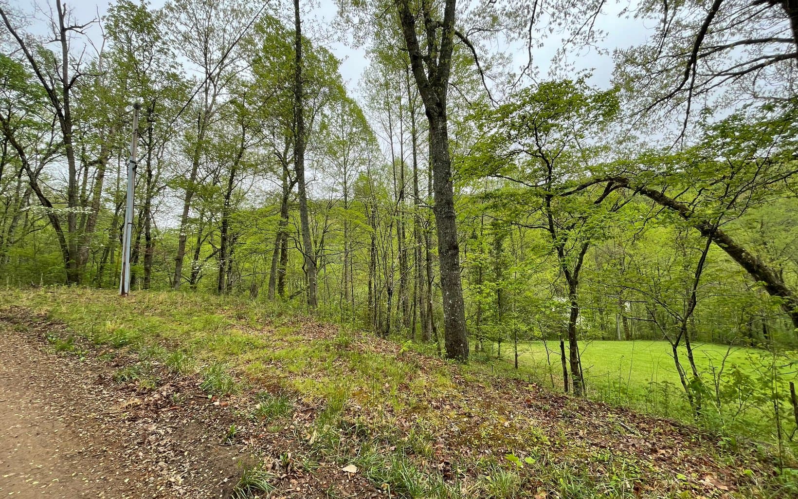 Lot 31 Nelson Ridge, Hayesville NC 28904 - Photo