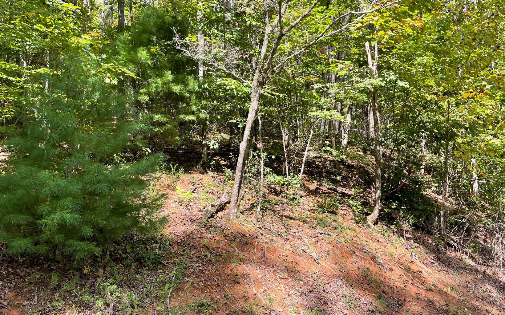 Lot 31 Nelson Ridge, Hayesville NC 28904 - Photo