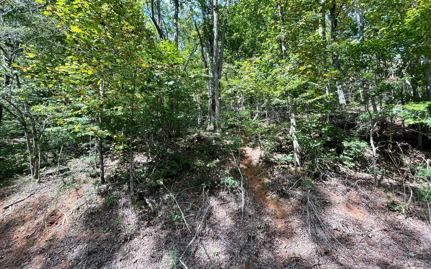 Lot 31 Nelson Ridge, Hayesville NC 28904 - Photo