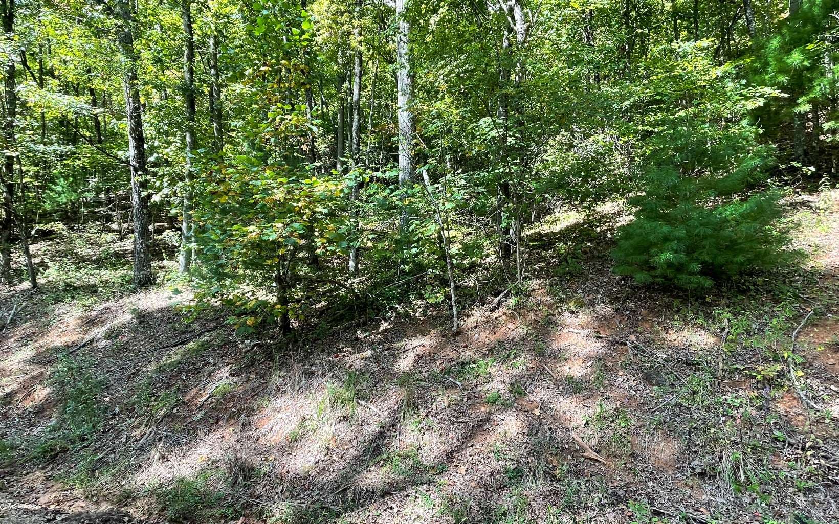 Lot 31 Nelson Ridge, Hayesville NC 28904 - Photo