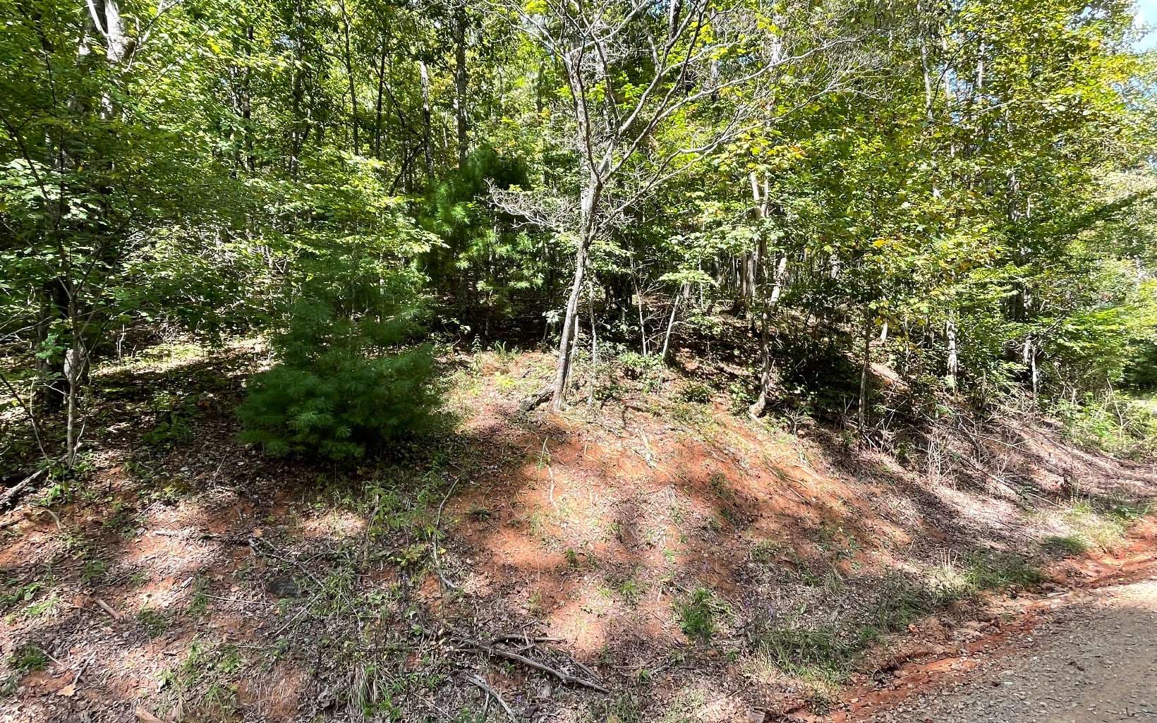 Lot 31 Nelson Ridge, Hayesville NC 28904 - Photo