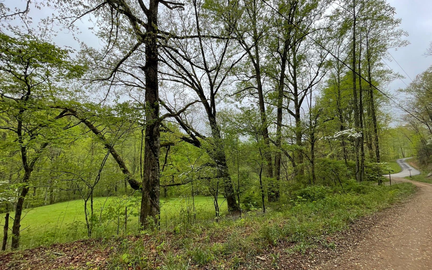 Lot 31 Nelson Ridge, Hayesville NC 28904 - Photo