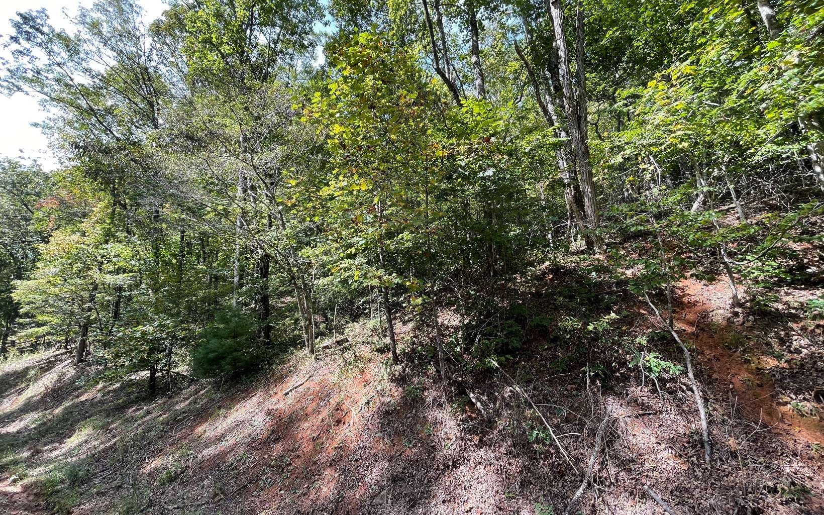 Lot 31 Nelson Ridge, Hayesville NC 28904 - Photo