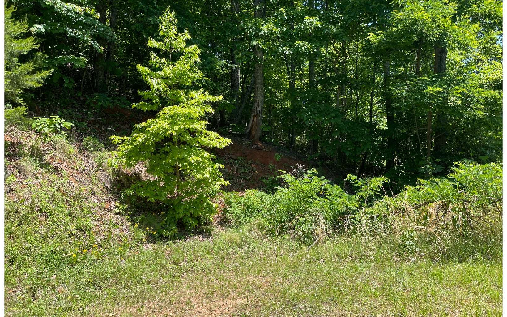 33B Grandview Drive, Hayesville NC 28904 - Photo