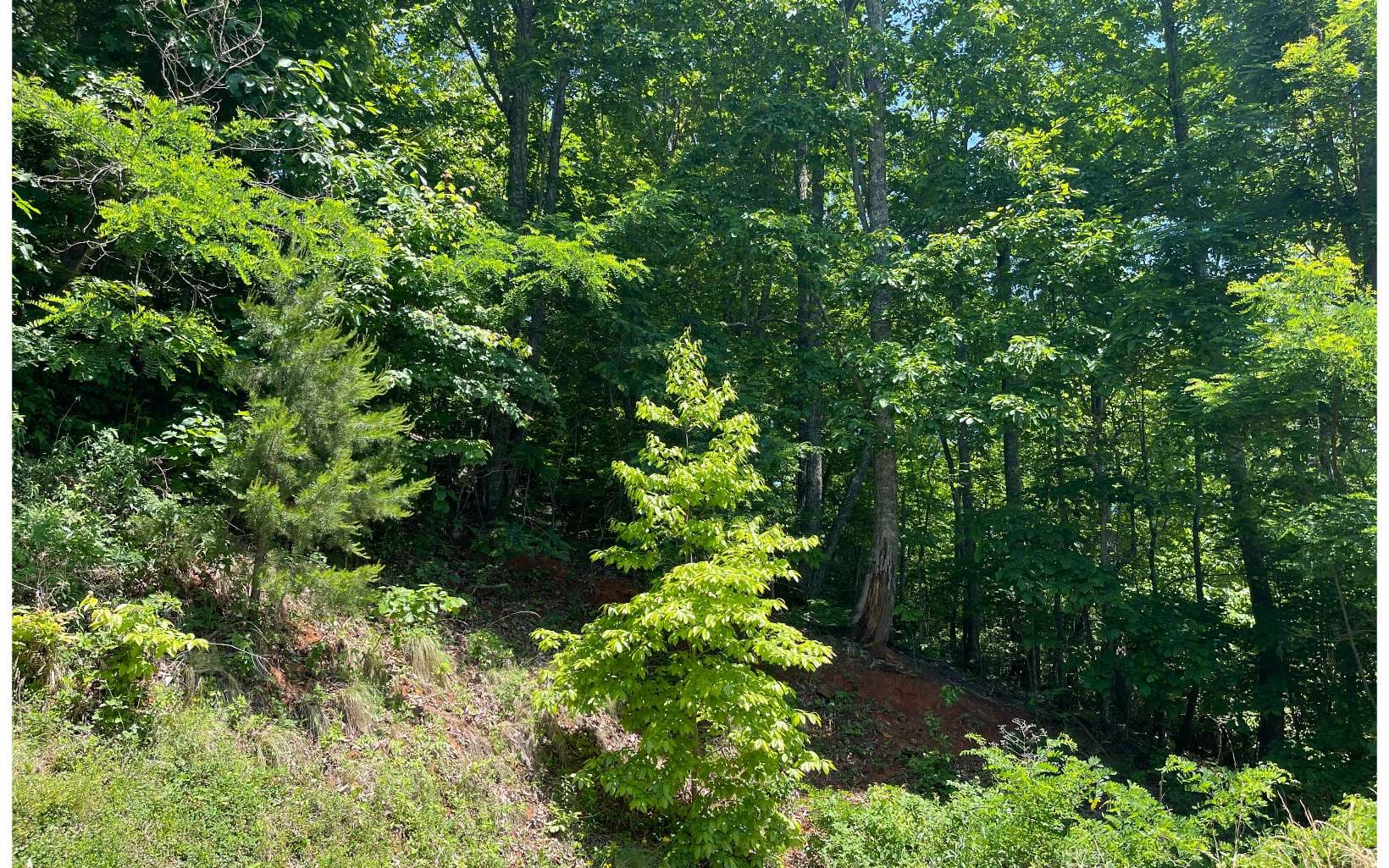 33B Grandview Drive, Hayesville NC 28904 - Photo