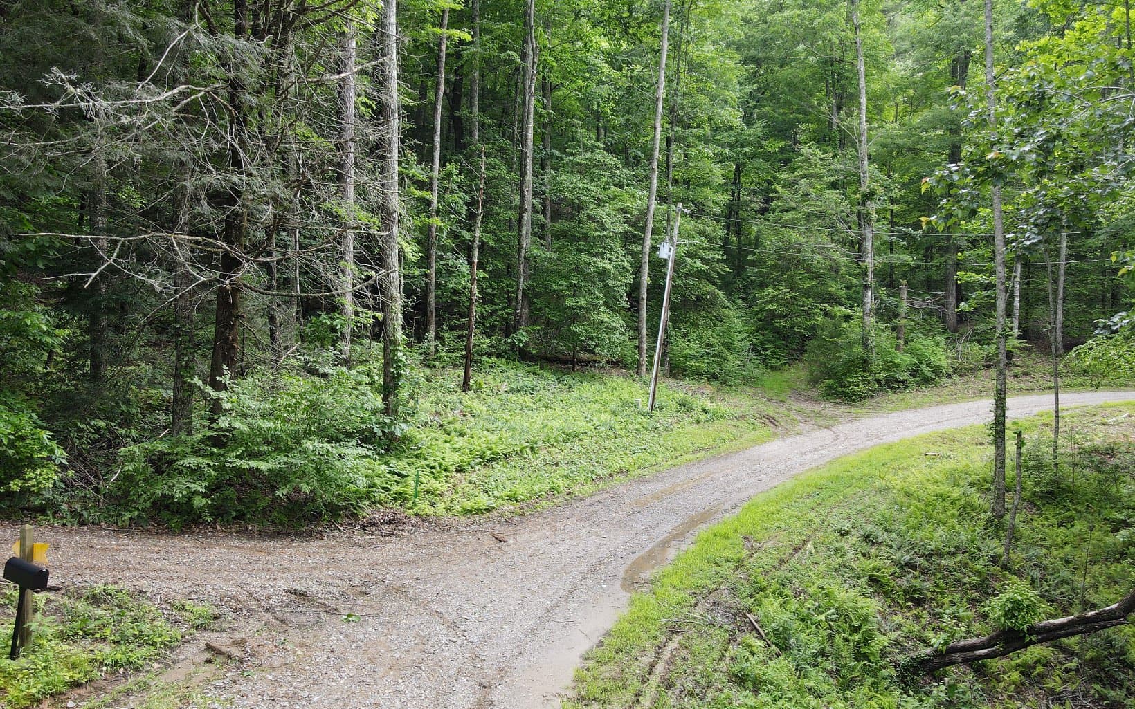 TR 2 Cindy Cove Road, Blairsville GA 30512 - Photo