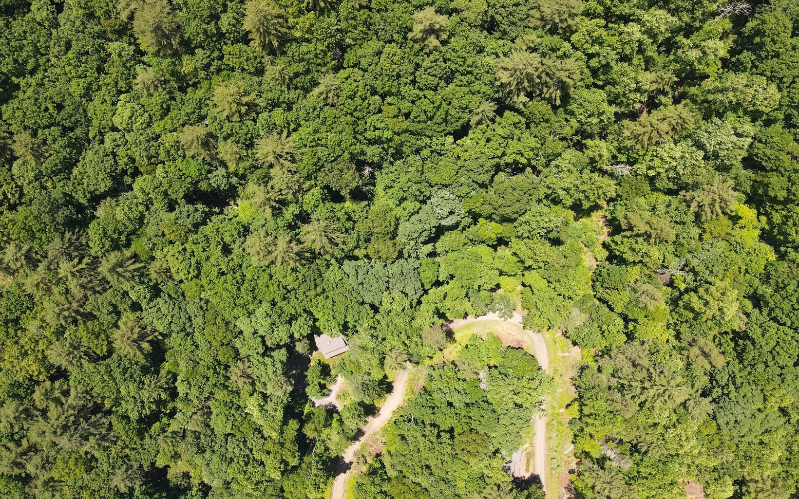 TR 2 Cindy Cove Road, Blairsville GA 30512 - Photo