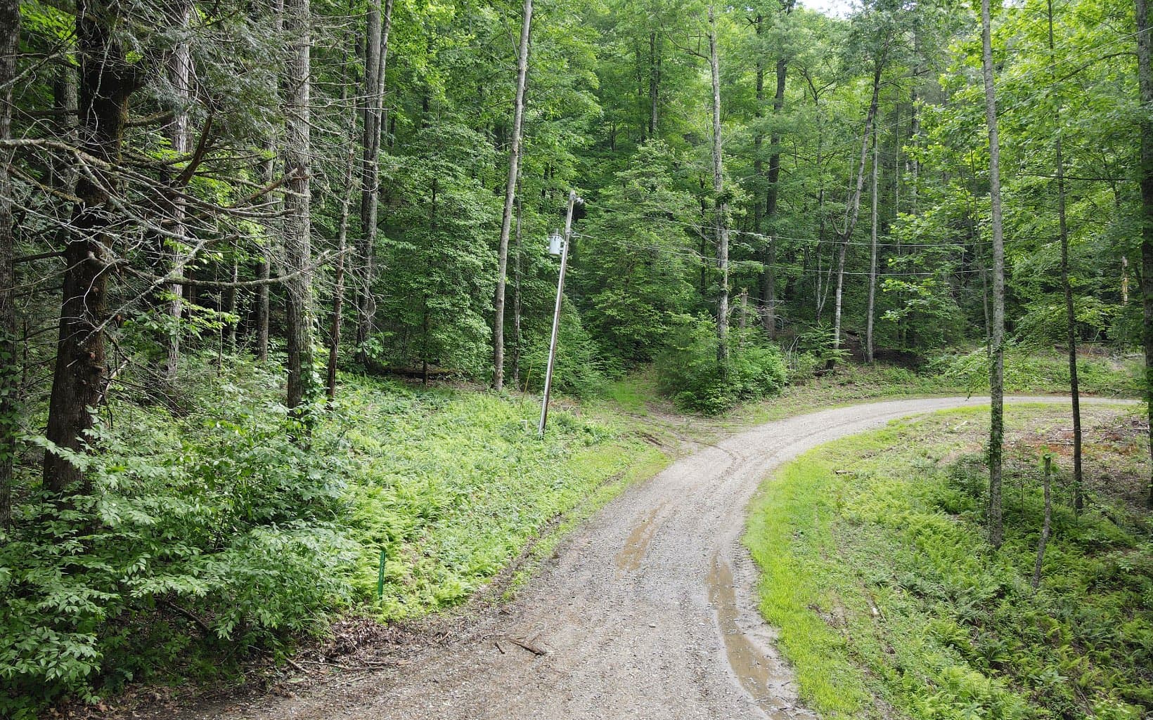 TR 2 Cindy Cove Road, Blairsville GA 30512 - Photo