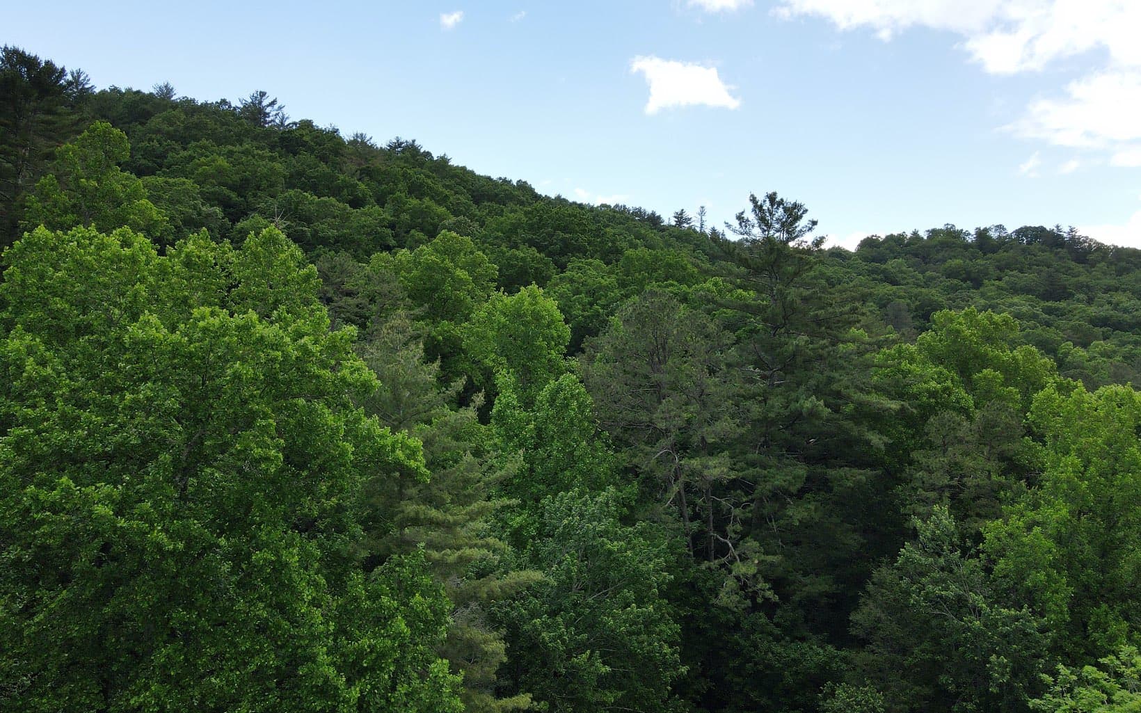 TR 2 Cindy Cove Road, Blairsville GA 30512 - Photo