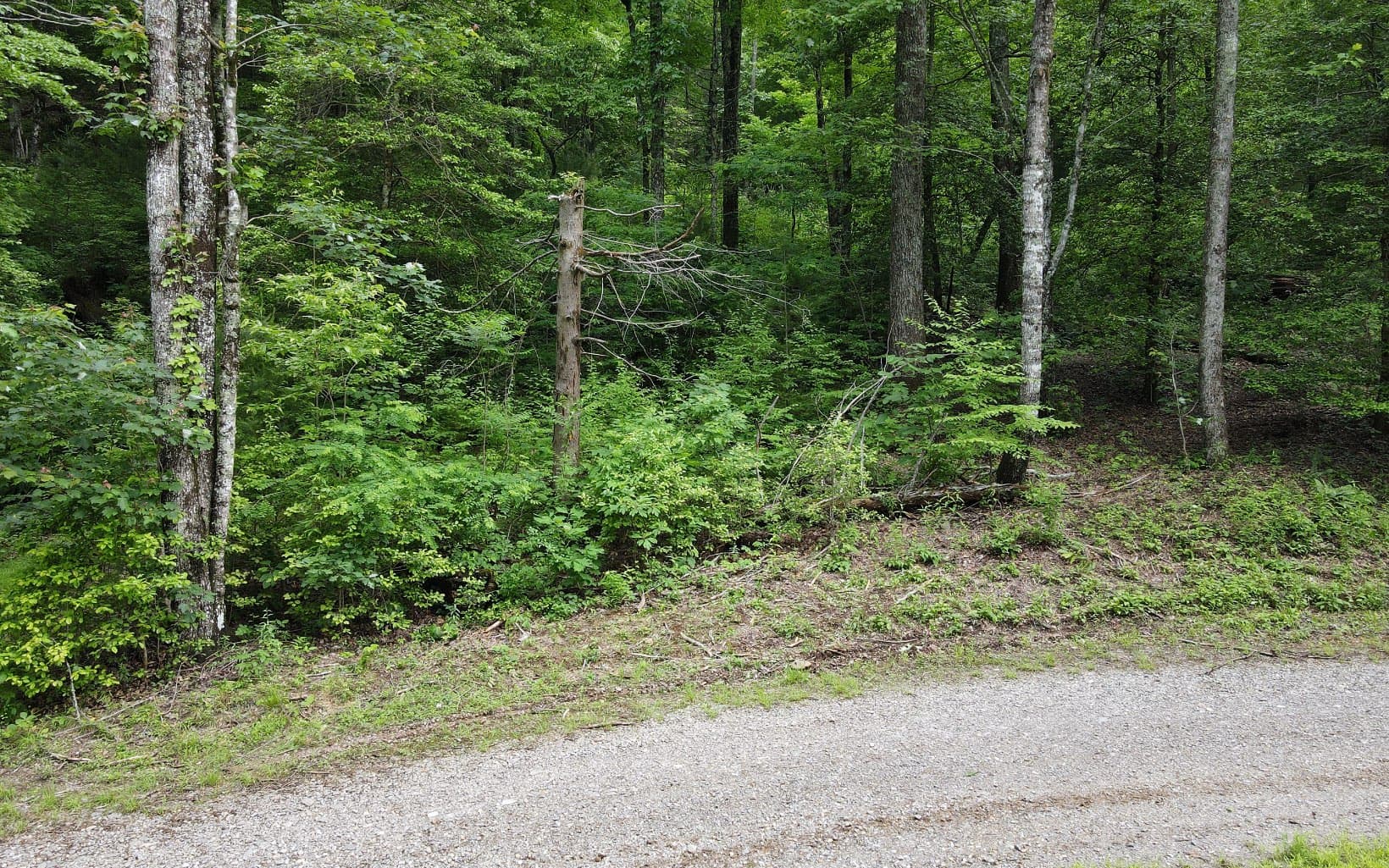 TR 3 Cindy Cove Road, Blairsville GA 30512 - Photo