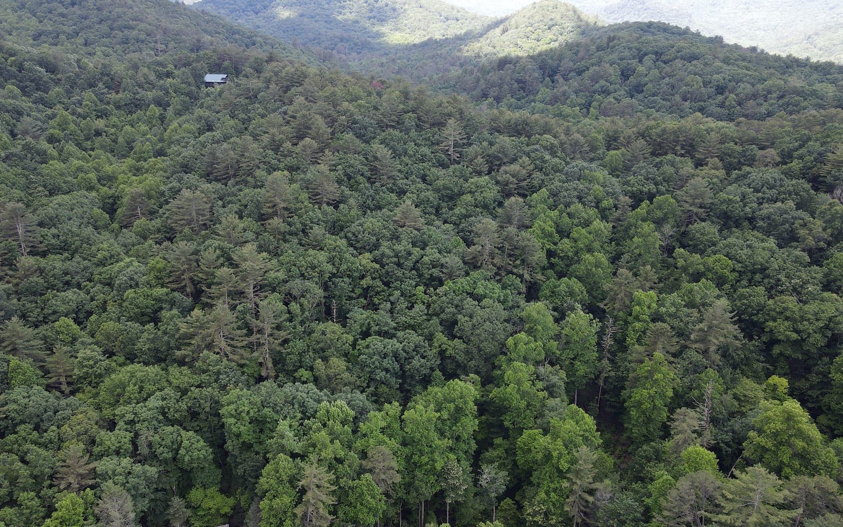 TR 3 Cindy Cove Road, Blairsville GA 30512 - Photo