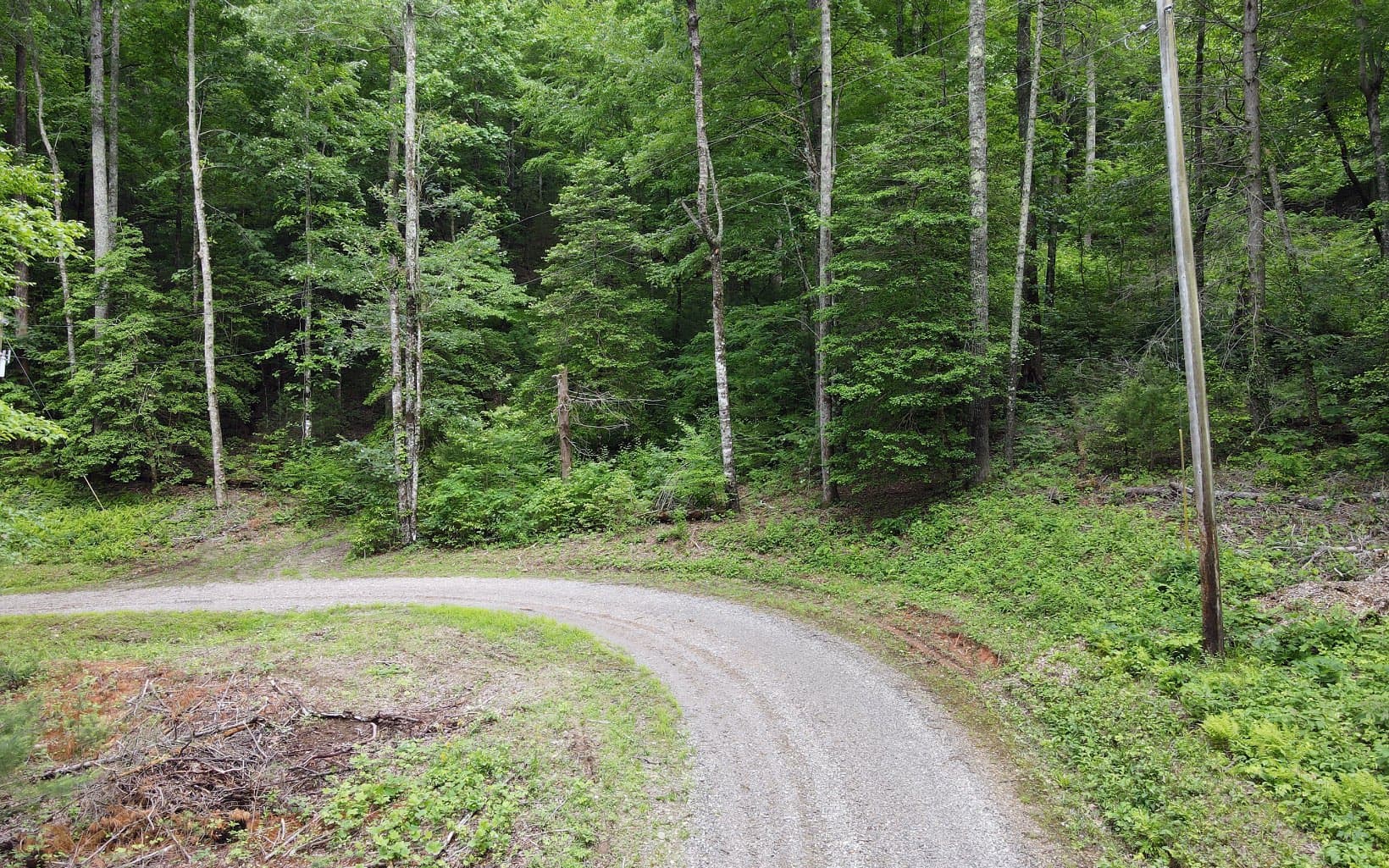 TR 3 Cindy Cove Road, Blairsville GA 30512 - Photo