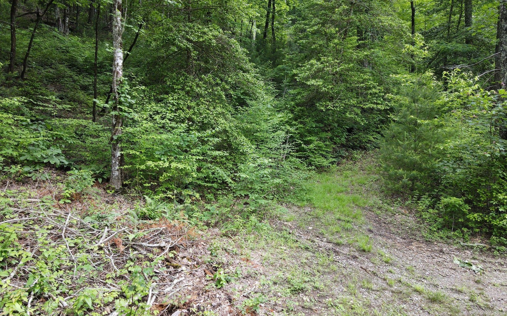 TR 3 Cindy Cove Road, Blairsville GA 30512 - Photo