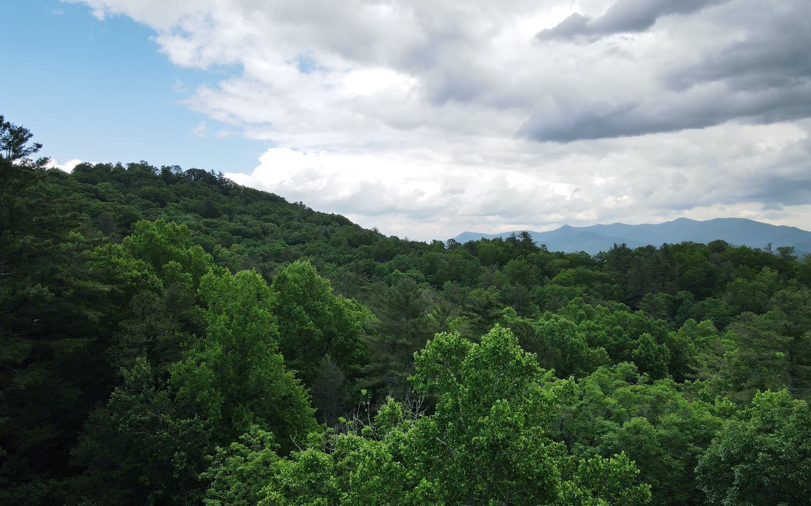 TR 3 Cindy Cove Road, Blairsville GA 30512 - Photo