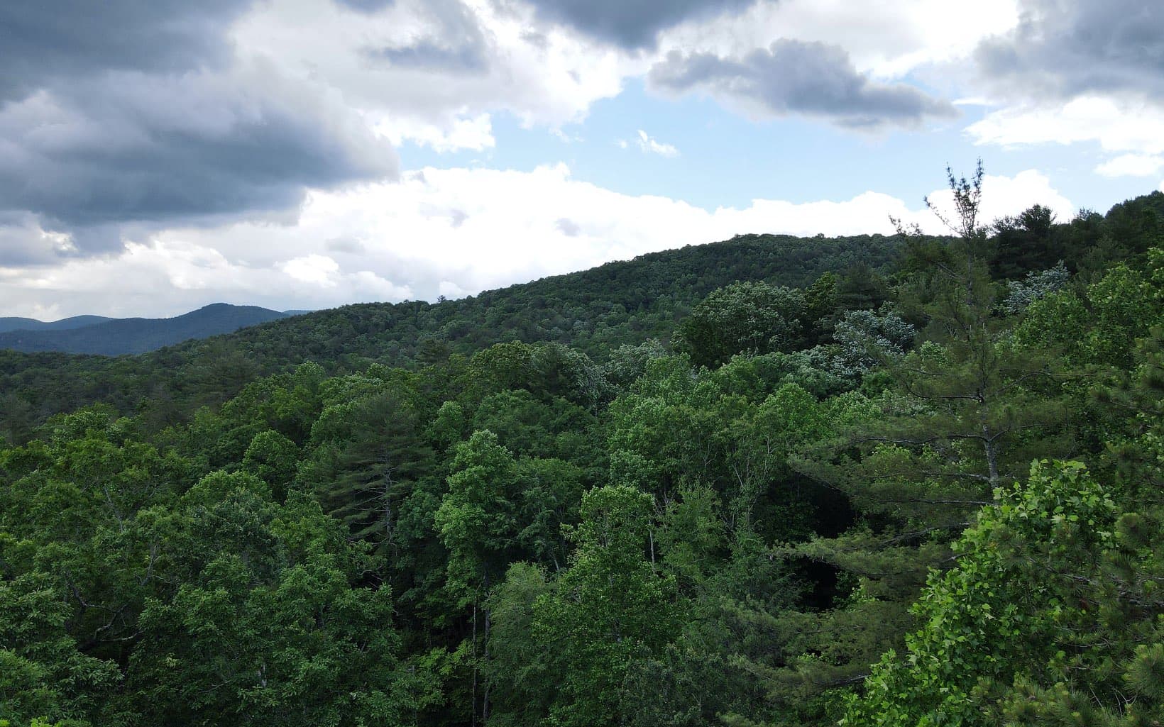 TR 3 Cindy Cove Road, Blairsville GA 30512 - Photo