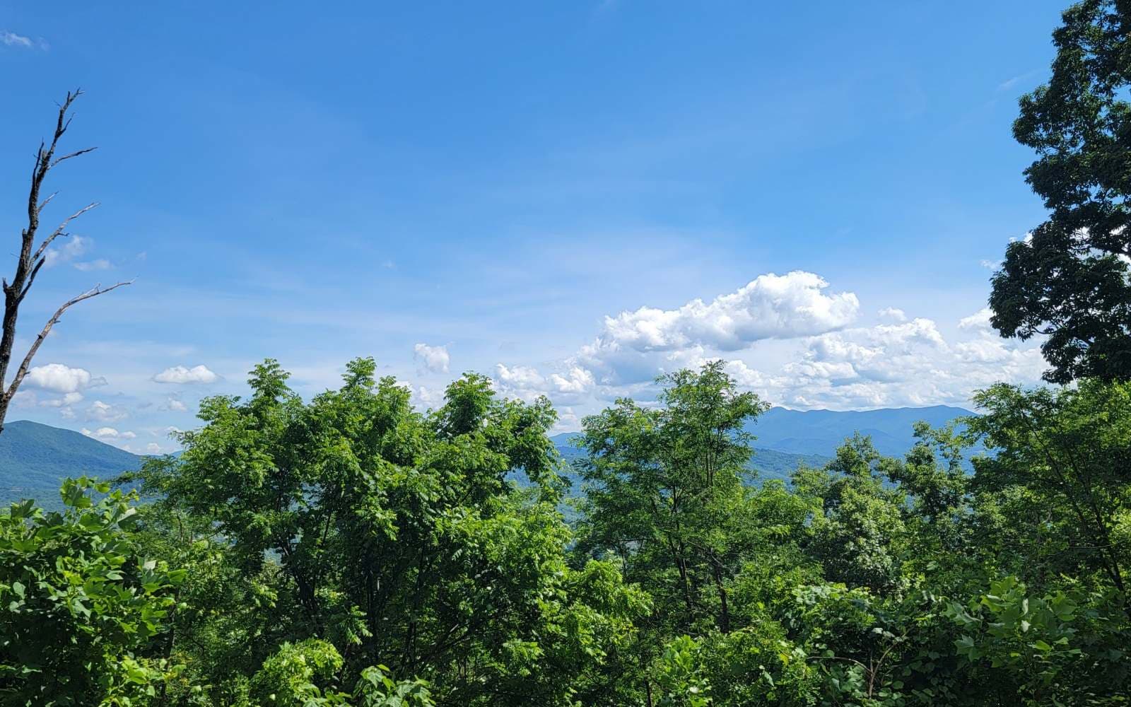 5 N Ridges Overlook, Hayesville NC 28904 - Photo
