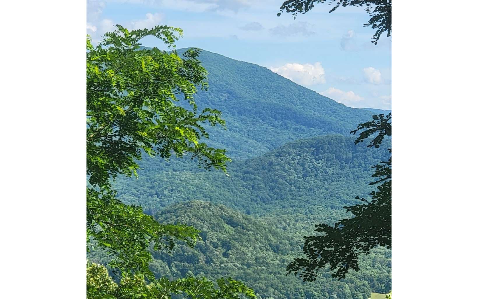 5 N Ridges Overlook, Hayesville NC 28904 - Photo