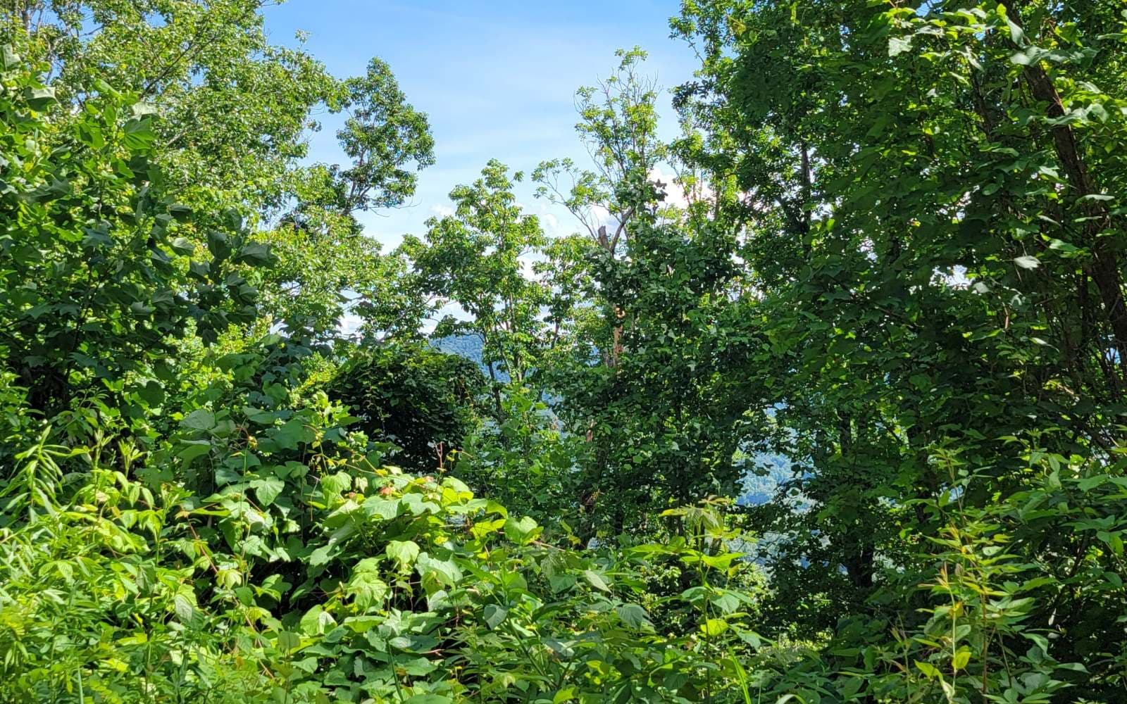 5 N Ridges Overlook, Hayesville NC 28904 - Photo