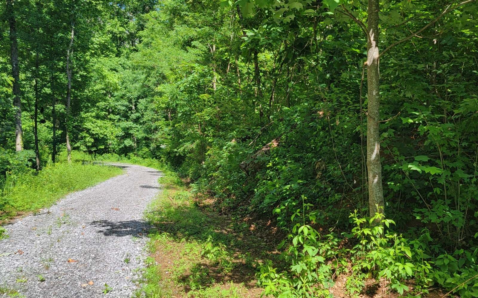 5 N Ridges Overlook, Hayesville NC 28904 - Photo