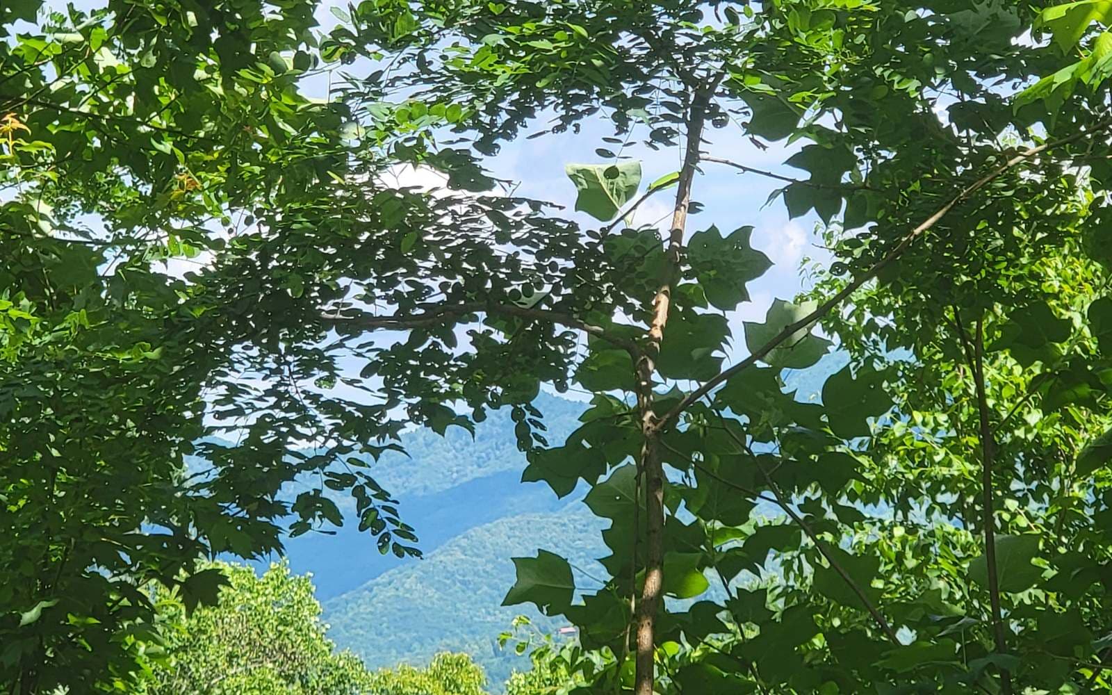 5 N Ridges Overlook, Hayesville NC 28904 - Photo