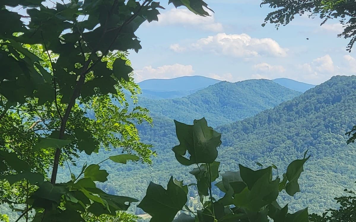 5 N Ridges Overlook, Hayesville NC 28904 - Primary photo