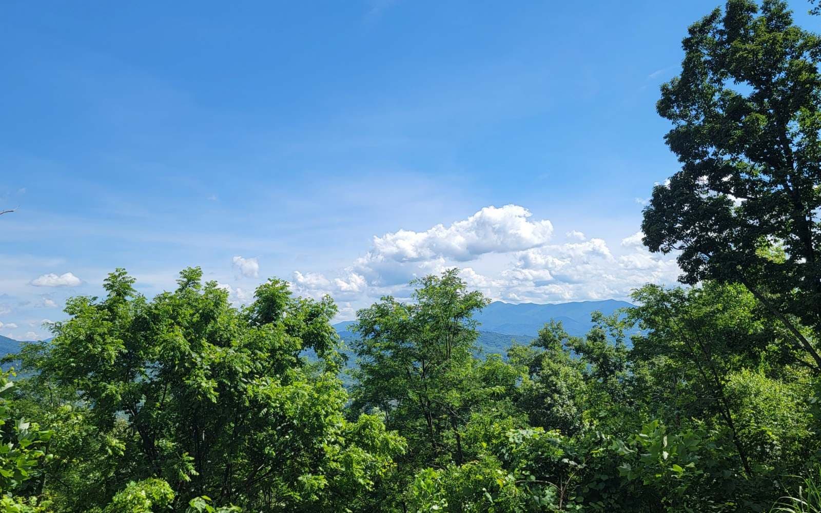 5 N Ridges Overlook, Hayesville NC 28904 - Photo
