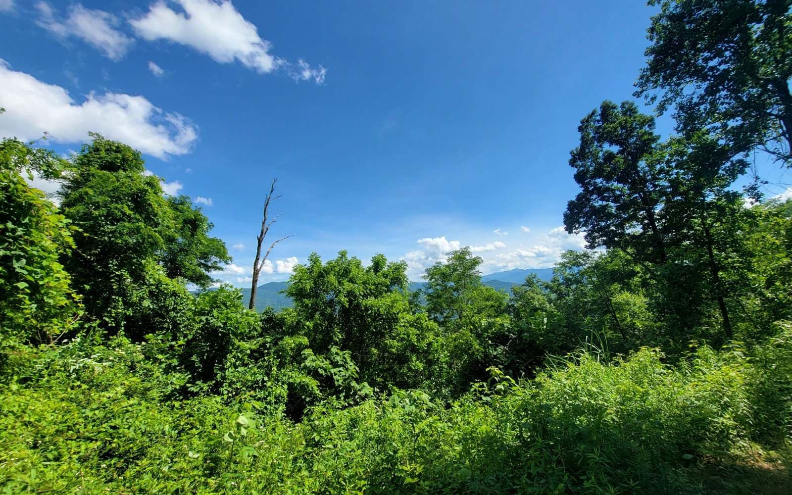 5 N Ridges Overlook, Hayesville NC 28904 - Photo