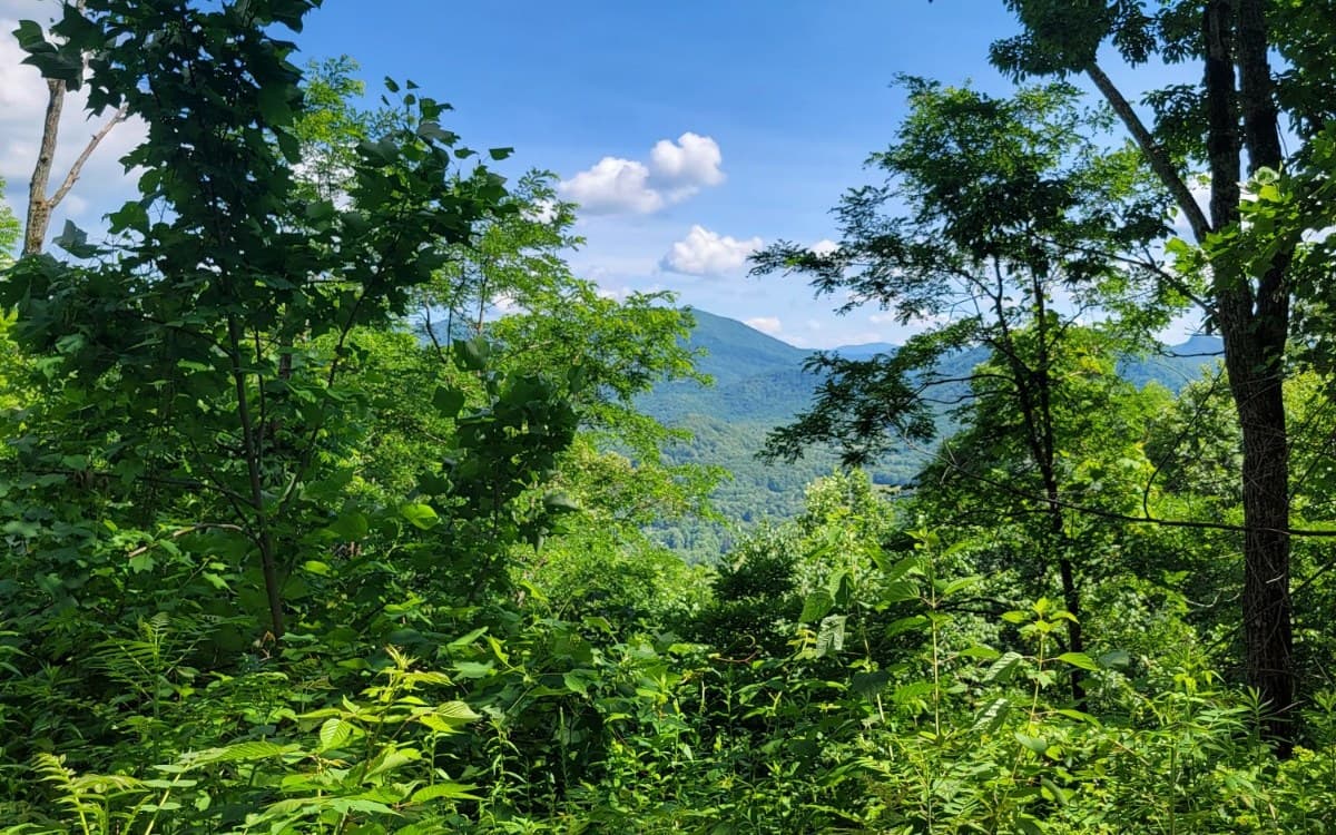 5 N Ridges Overlook, Hayesville NC 28904 - Photo