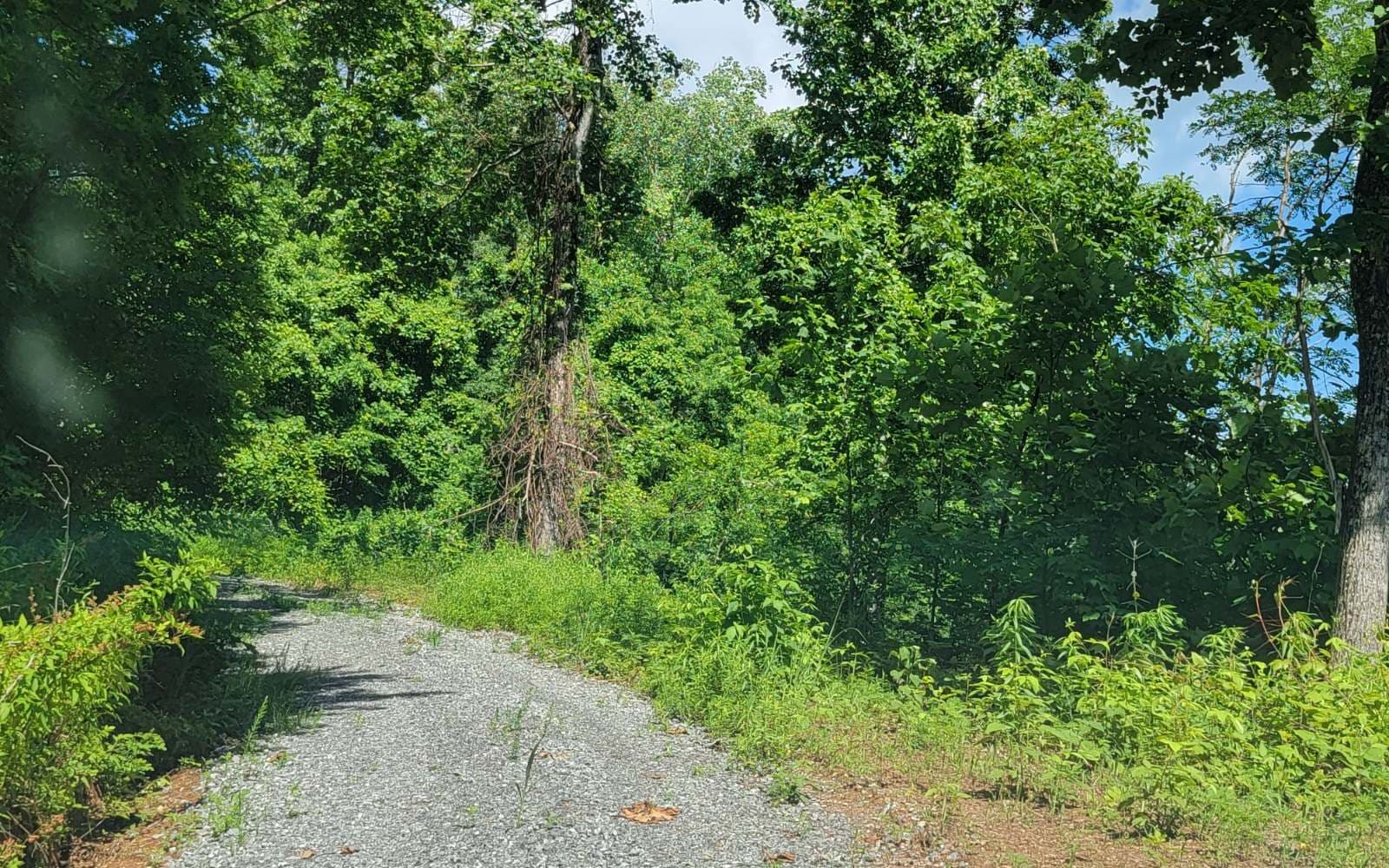 5 N Ridges Overlook, Hayesville NC 28904 - Photo